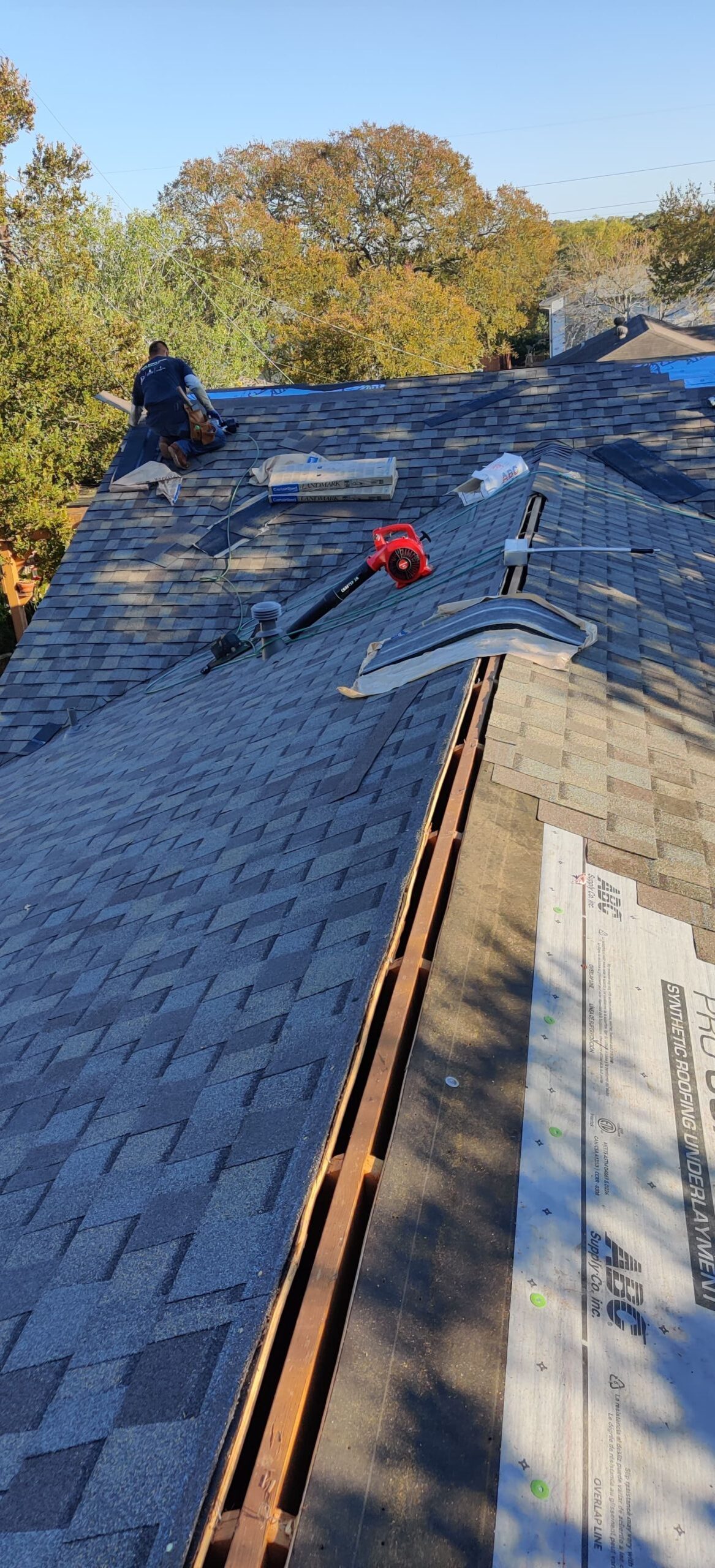 new cedar privacy fence installed along backyard in Navasota Texas